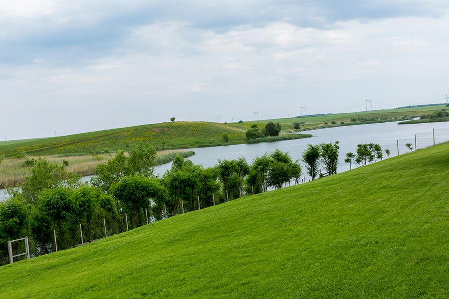 Pajiștea Elysion View cu vedere spre lacul Goștilele
